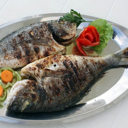 Fish Grill
