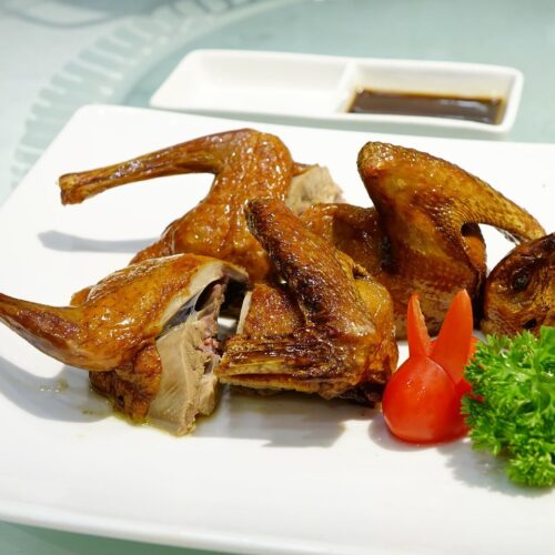 Pigeon